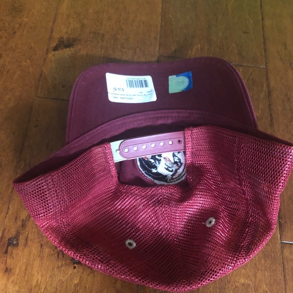 FSU Net Dad Cap Team Colors - Picture 2 of 3